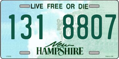 NH license plate 1318807
