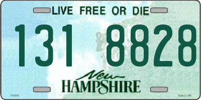 NH license plate 1318828