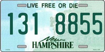 NH license plate 1318855