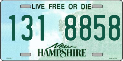 NH license plate 1318858