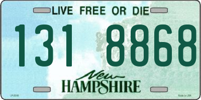 NH license plate 1318868