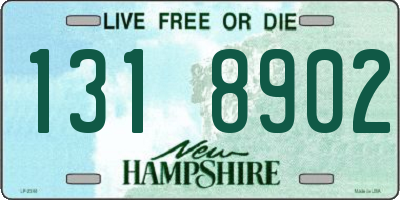 NH license plate 1318902