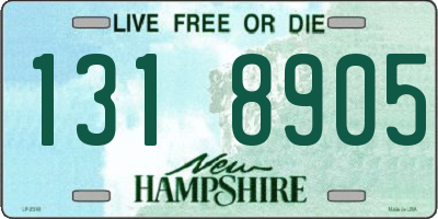 NH license plate 1318905