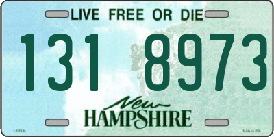 NH license plate 1318973