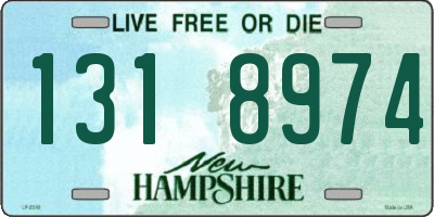 NH license plate 1318974