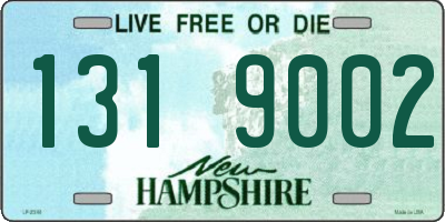 NH license plate 1319002