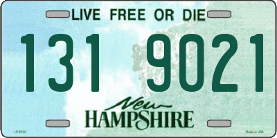 NH license plate 1319021