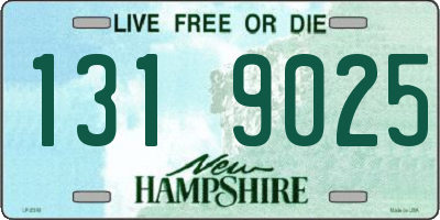 NH license plate 1319025