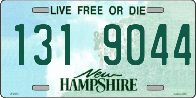 NH license plate 1319044