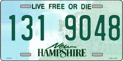 NH license plate 1319048