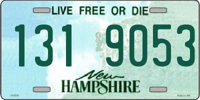 NH license plate 1319053