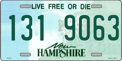 NH license plate 1319063