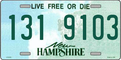 NH license plate 1319103