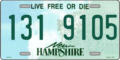 NH license plate 1319105