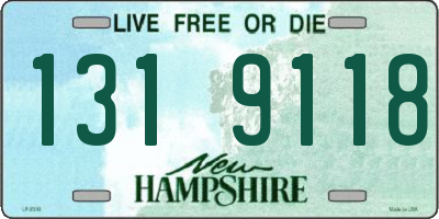NH license plate 1319118