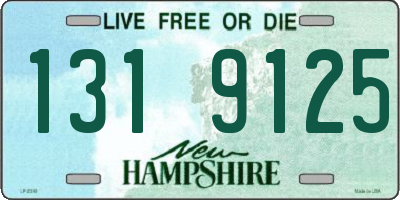 NH license plate 1319125
