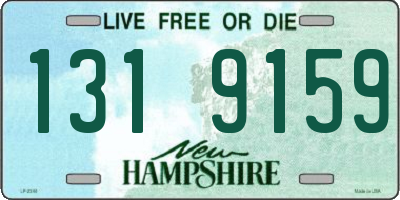 NH license plate 1319159
