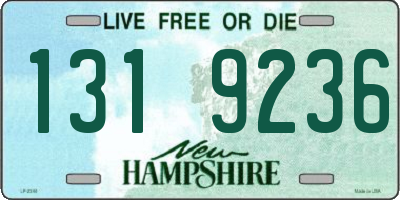 NH license plate 1319236