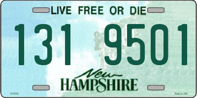 NH license plate 1319501