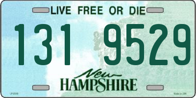NH license plate 1319529