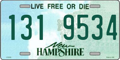 NH license plate 1319534