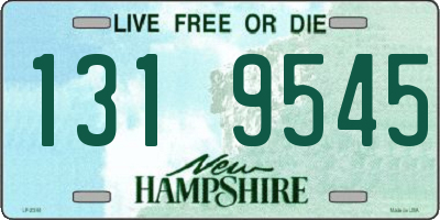 NH license plate 1319545