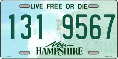 NH license plate 1319567