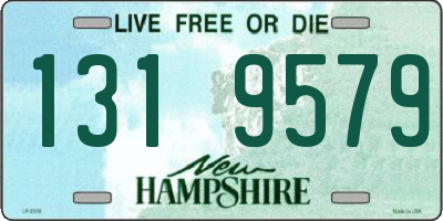 NH license plate 1319579