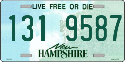 NH license plate 1319587