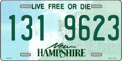 NH license plate 1319623