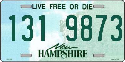 NH license plate 1319873