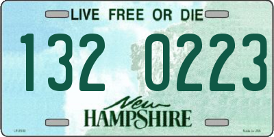 NH license plate 1320223