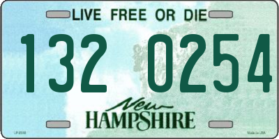NH license plate 1320254