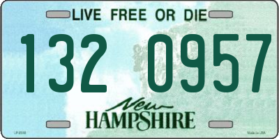 NH license plate 1320957