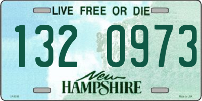 NH license plate 1320973