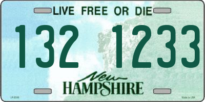 NH license plate 1321233