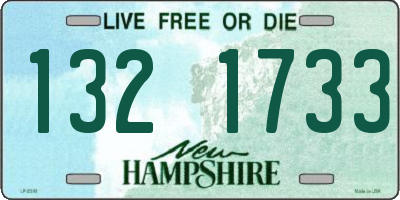 NH license plate 1321733