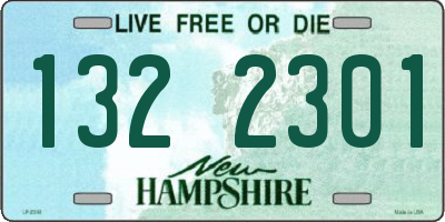 NH license plate 1322301