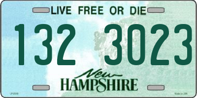 NH license plate 1323023
