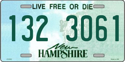 NH license plate 1323061