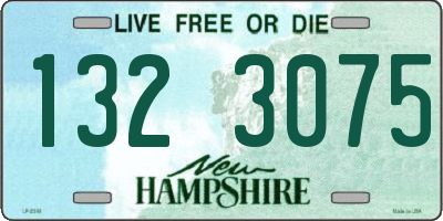 NH license plate 1323075
