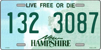 NH license plate 1323087