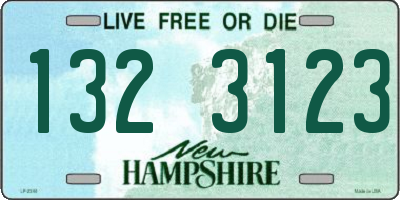 NH license plate 1323123