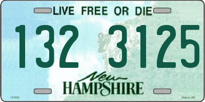 NH license plate 1323125
