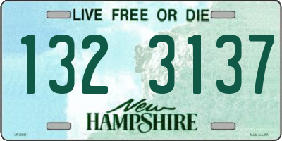 NH license plate 1323137
