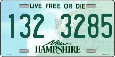 NH license plate 1323285