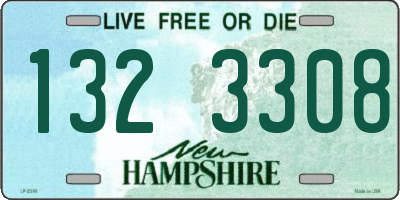 NH license plate 1323308