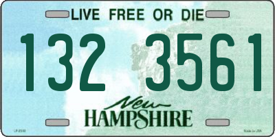NH license plate 1323561