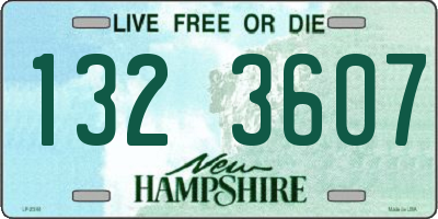 NH license plate 1323607