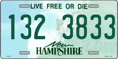 NH license plate 1323833